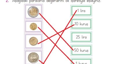 1. Sınıf Matematik Açılım Yayınları Sayfa 109 Cevapları