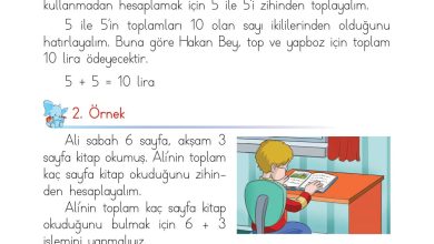 1. Sınıf Matematik Açılım Yayınları Sayfa 116 Cevapları