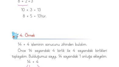 1. Sınıf Matematik Açılım Yayınları Sayfa 117 Cevapları