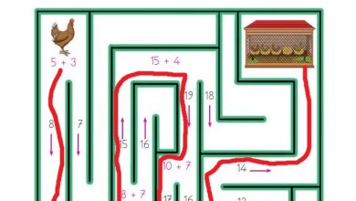 1. Sınıf Matematik Açılım Yayınları Sayfa 118 Cevapları