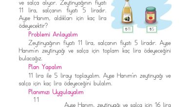 1. Sınıf Matematik Açılım Yayınları Sayfa 120 Cevapları