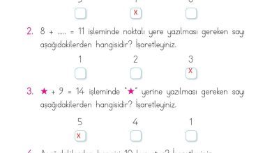 1. Sınıf Matematik Açılım Yayınları Sayfa 130 Cevapları