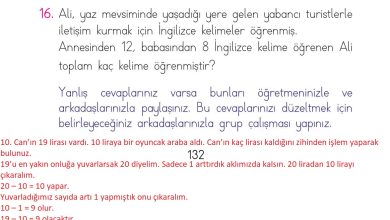 1. Sınıf Matematik Açılım Yayınları Sayfa 132 Cevapları