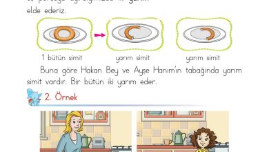 1. Sınıf Matematik Açılım Yayınları Sayfa 135 Cevapları