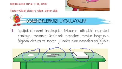 1. Sınıf Matematik Açılım Yayınları Sayfa 14 Cevapları