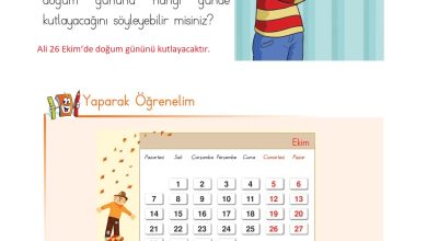 1. Sınıf Matematik Açılım Yayınları Sayfa 141 Cevapları