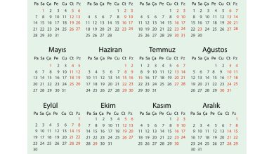 1. Sınıf Matematik Açılım Yayınları Sayfa 143 Cevapları