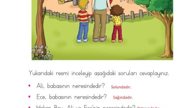 1. Sınıf Matematik Açılım Yayınları Sayfa 15 Cevapları