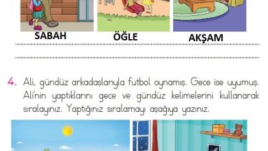 1. Sınıf Matematik Açılım Yayınları Sayfa 151 Cevapları