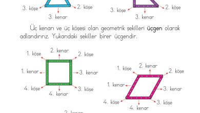 1. Sınıf Matematik Açılım Yayınları Sayfa 153 Cevapları