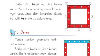 1. Sınıf Matematik Açılım Yayınları Sayfa 154 Cevapları