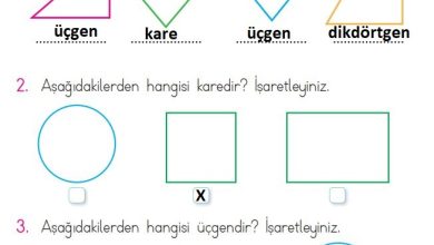 1. Sınıf Matematik Açılım Yayınları Sayfa 156 Cevapları