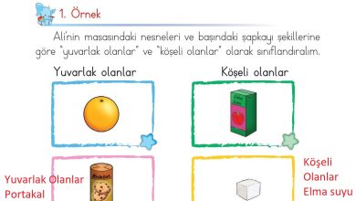 1. Sınıf Matematik Açılım Yayınları Sayfa 158 Cevapları