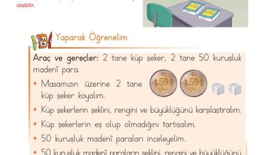 1. Sınıf Matematik Açılım Yayınları Sayfa 16 Cevapları