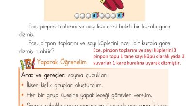 1. Sınıf Matematik Açılım Yayınları Sayfa 164 Cevapları