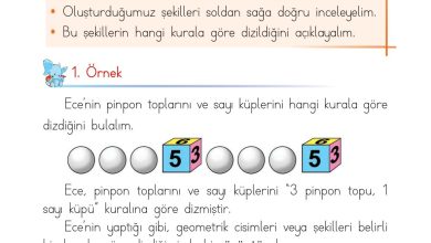 1. Sınıf Matematik Açılım Yayınları Sayfa 165 Cevapları