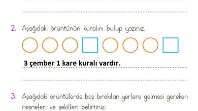 1. Sınıf Matematik Açılım Yayınları Sayfa 167 Cevapları