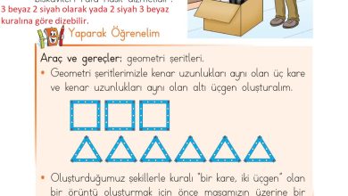 1. Sınıf Matematik Açılım Yayınları Sayfa 168 Cevapları