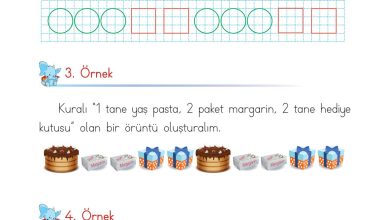 1. Sınıf Matematik Açılım Yayınları Sayfa 170 Cevapları