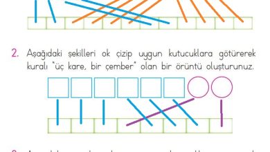 1. Sınıf Matematik Açılım Yayınları Sayfa 171 Cevapları