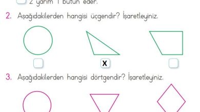 1. Sınıf Matematik Açılım Yayınları Sayfa 172 Cevapları