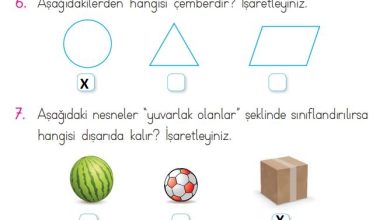 1. Sınıf Matematik Açılım Yayınları Sayfa 173 Cevapları