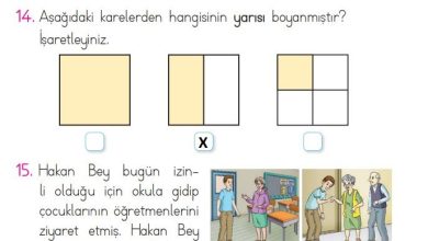 1. Sınıf Matematik Açılım Yayınları Sayfa 175 Cevapları