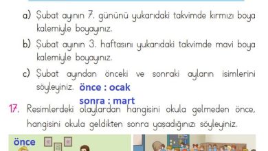 1. Sınıf Matematik Açılım Yayınları Sayfa 176 Cevapları