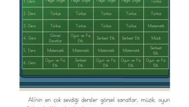 1. Sınıf Matematik Açılım Yayınları Sayfa 178 Cevapları