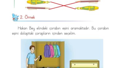 1. Sınıf Matematik Açılım Yayınları Sayfa 18 Cevapları