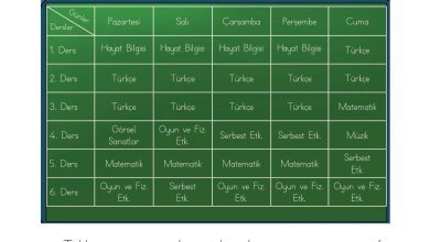 1. Sınıf Matematik Açılım Yayınları Sayfa 181 Cevapları