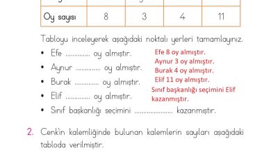 1. Sınıf Matematik Açılım Yayınları Sayfa 182 Cevapları