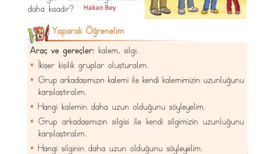 1. Sınıf Matematik Açılım Yayınları Sayfa 183 Cevapları