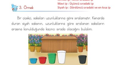 1. Sınıf Matematik Açılım Yayınları Sayfa 185 Cevapları