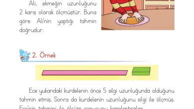 1. Sınıf Matematik Açılım Yayınları Sayfa 193 Cevapları