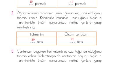 1. Sınıf Matematik Açılım Yayınları Sayfa 194 Cevapları