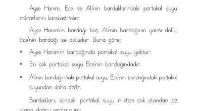 1. Sınıf Matematik Açılım Yayınları Sayfa 199 Cevapları