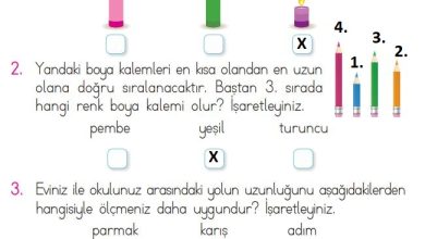 1. Sınıf Matematik Açılım Yayınları Sayfa 202 Cevapları