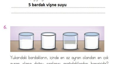 1. Sınıf Matematik Açılım Yayınları Sayfa 203 Cevapları