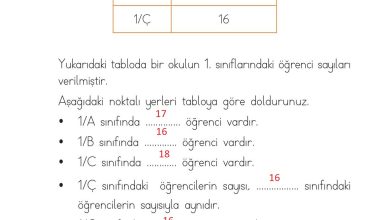 1. Sınıf Matematik Açılım Yayınları Sayfa 204 Cevapları