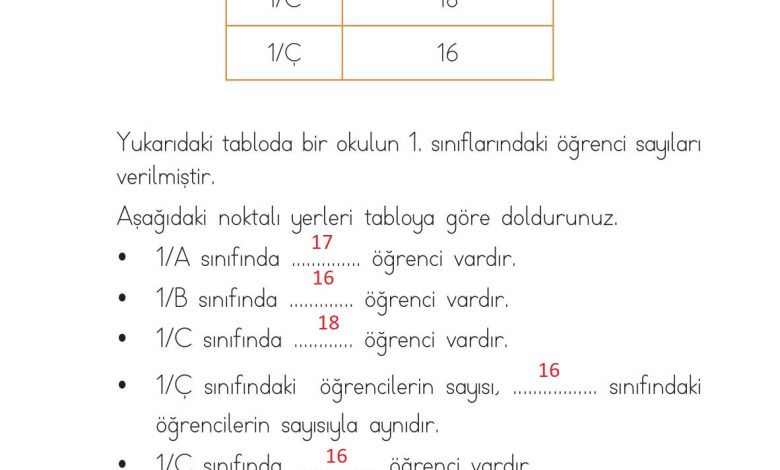 1. Sınıf Matematik Açılım Yayınları Sayfa 204 Cevapları