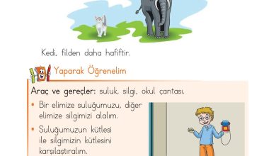 1. Sınıf Matematik Açılım Yayınları Sayfa 22 Cevapları