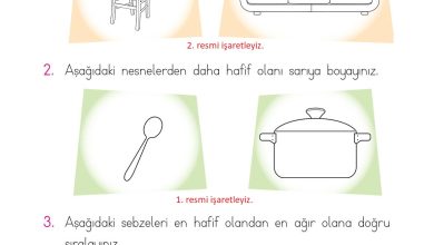 1. Sınıf Matematik Açılım Yayınları Sayfa 24 Cevapları