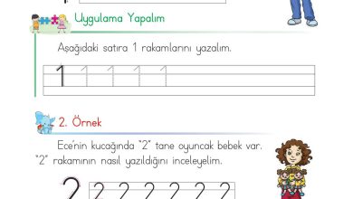 1. Sınıf Matematik Açılım Yayınları Sayfa 28 Cevapları