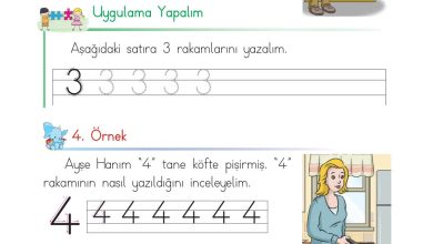 1. Sınıf Matematik Açılım Yayınları Sayfa 29 Cevapları