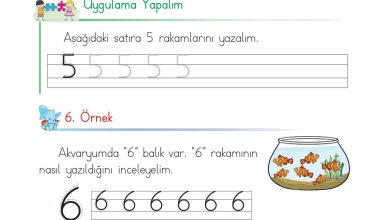 1. Sınıf Matematik Açılım Yayınları Sayfa 30 Cevapları