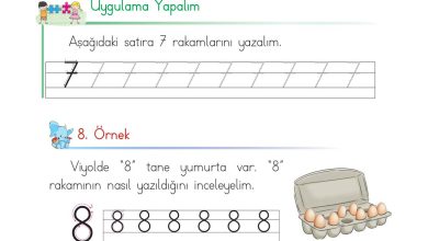 1. Sınıf Matematik Açılım Yayınları Sayfa 31 Cevapları