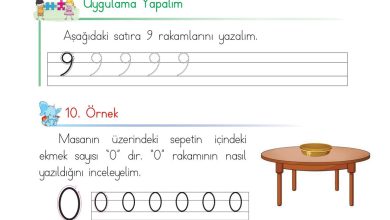 1. Sınıf Matematik Açılım Yayınları Sayfa 32 Cevapları