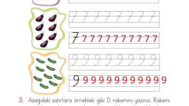 1. Sınıf Matematik Açılım Yayınları Sayfa 34 Cevapları