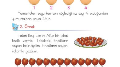 1. Sınıf Matematik Açılım Yayınları Sayfa 37 Cevapları